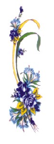 Decorative Door Skin_00218.jpg